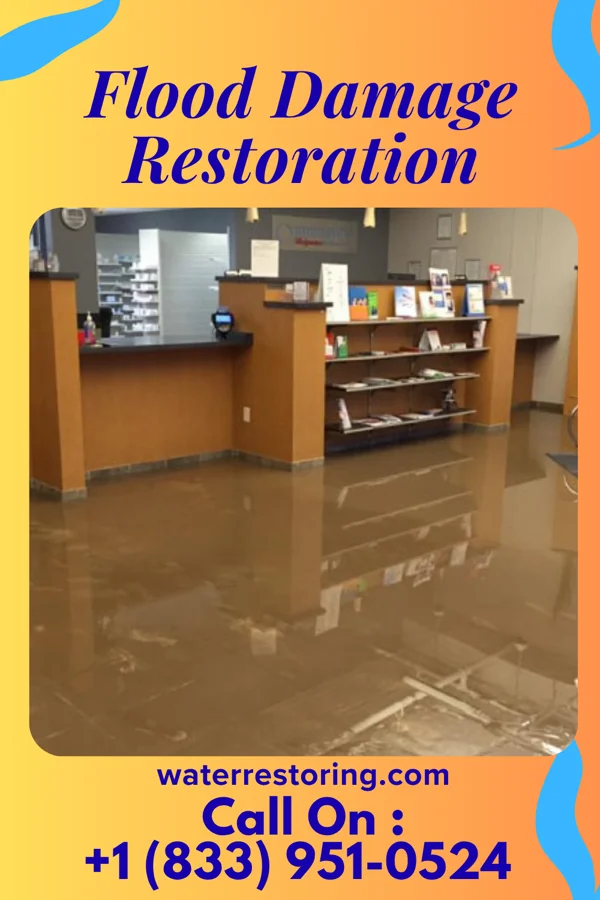 Flood Damage Restoration in Hillsboro, MO
