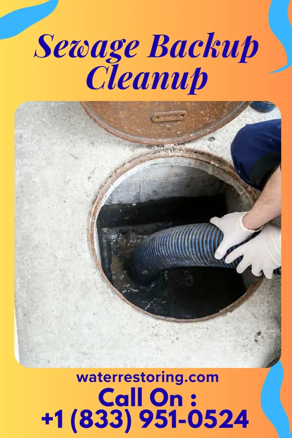 Sewage Backup Cleanup in Hillsboro, MO