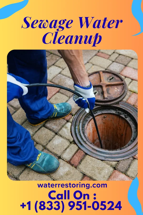 Sewage Water Cleanup in Hillsboro, MO