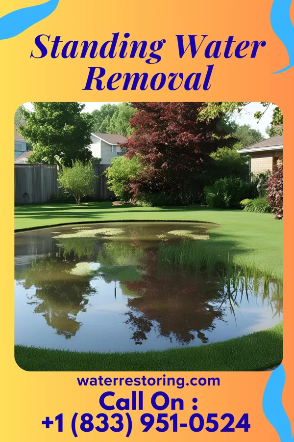 Standing Water Removal in Hillsboro, MO
